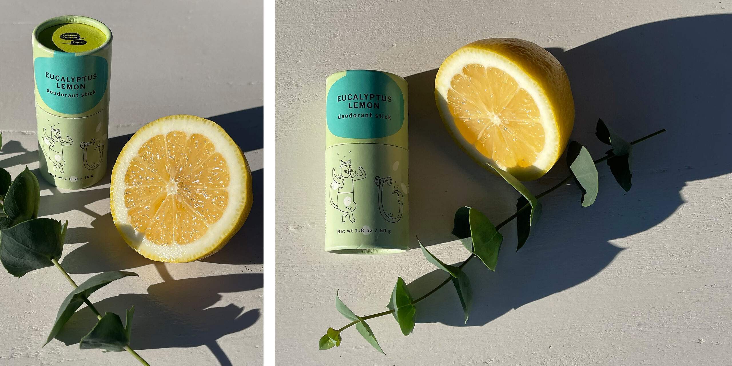 eucalyptus lemon deodorant sticks ethical abode
